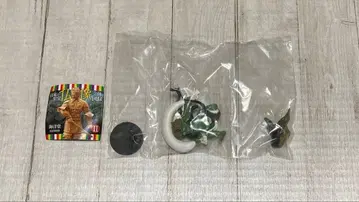 일본의 지보 불상 입체 도록 풍신 풀 채색 카이요도