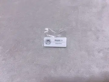 니지산지 우사미 리토 오리엔스 니지 페스티벌 명찰