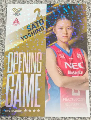 NEC 레드 로케츠 사토 요시노 트레이딩 카드 V