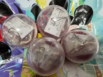 릴린린 캡슐 토이 컴플리트