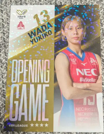 NEC 레드 로케츠 와다 유키코 V 콜렉션 트레이딩 카드