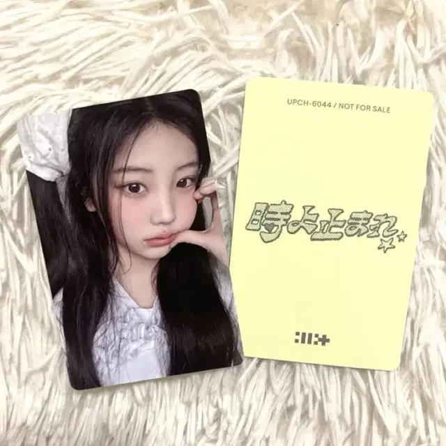 아일릿 포카 원희 토키요토마레 일본 앨범 세븐넷