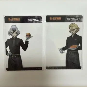 Dr.stone 클리어 카드 제노 스탠리