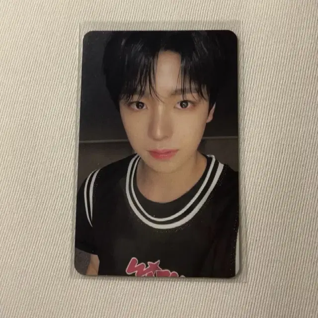 엔시티위시 유우시 스테디 앨범 포카