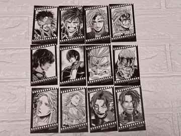 종말의 발키리 특전 필름풍 콜렉터블 카드 12종 세트 익명 배송