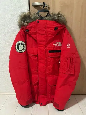 THE NORTH FACE SUMMIT SERIES 서던크로스 후드티