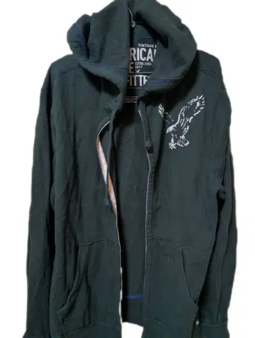 American Eagle Outfitters 다크 그린 후드티