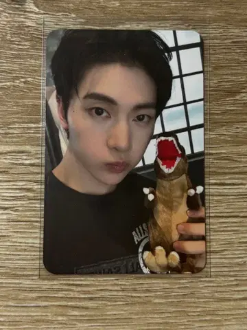 매튜 메튜 특전 트레이딩 카드 공룡 습격