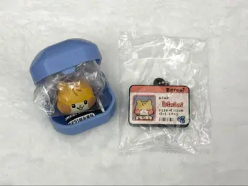 zb1 zeroni 비니니 한빈 가챠 ID 카드풍 반지