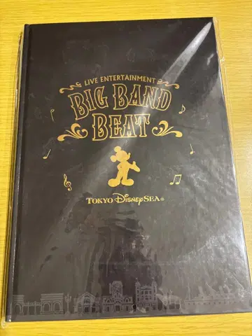 디즈니 빅뱅 비트 BBB 사진집