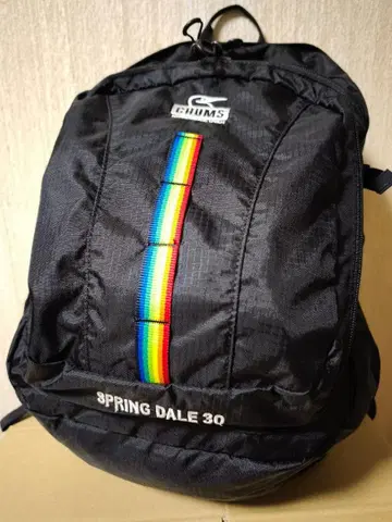 [컨디션 최상] CHUMS 데이팩 Spring Dale 30 블랙