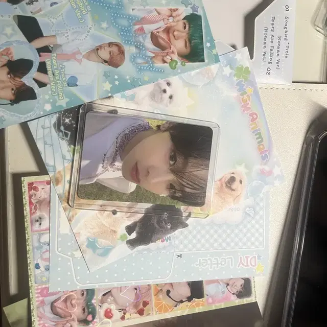 송버드 앨범 리쿠포카