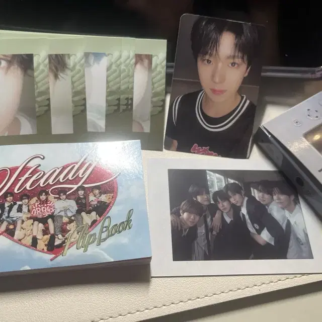 스테디 앨범 유우시 포카