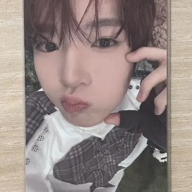 최종가격내림)엔시티위시 사쿠야 컬러 쥬얼 개인반앨범 포카