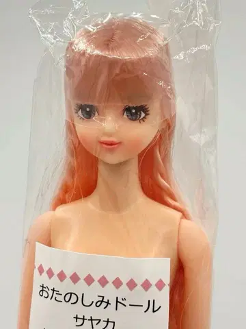 사야카 리카짱 캐슬 오타노시미 인형 클리어 핑크 계열 제니 프렌드