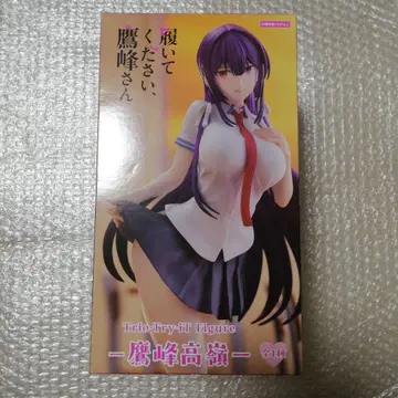 신어주세요, 타카호 씨 피규어 Trio Try iT