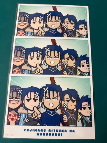 FGO 후지마루 리츠카는 모른다 수수께끼마루 장면 사진 브로마이드 쿠훌린