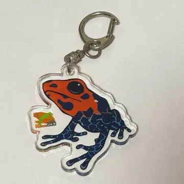 개구리 독개구리 아크릴 키링