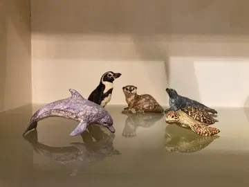 하시모토 미오 신 에노시마 수족관