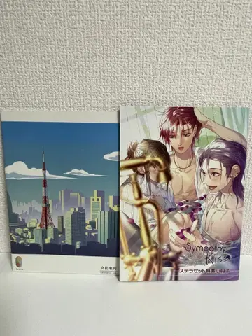 신키스 소책자 스텔라