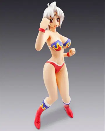 근육맨 레이디 & 레이디 로빈 / 2체 세트 MegaHouse 미개봉