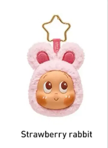 POPMART twinkle twinkle 이어폰 케이스 칭클