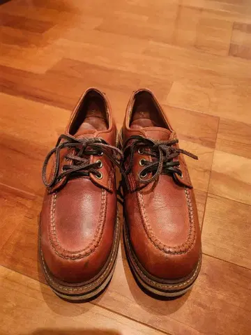 레드 윙 옥스퍼드