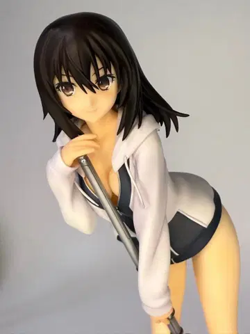 스트라이크 더 블러드 히메히라기 유키나 알터