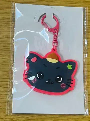 nctwish 리쿠 거울