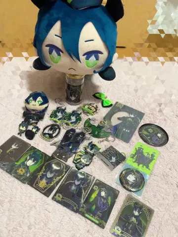 트위스테 말레우스 드라코니아 묶음 판매