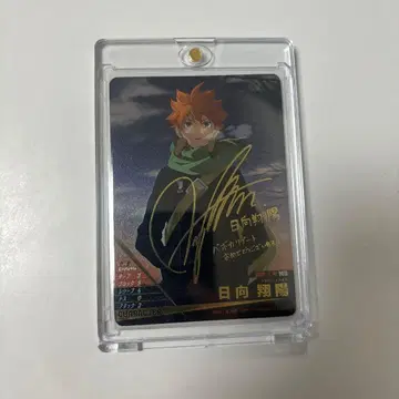 하이큐 바보카 히나타 쇼요 사인 포함