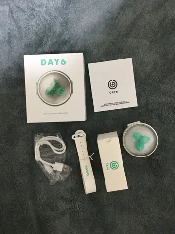 DAY6 응원봉