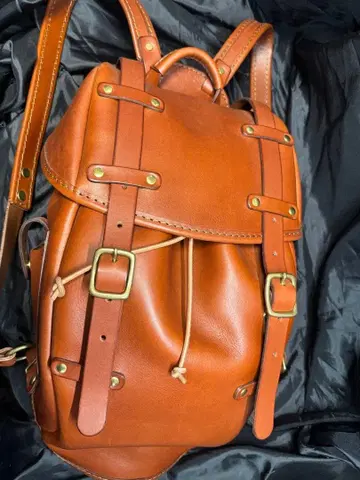 HERZ 헬츠 반덮개 두 개 벨트 백팩 R152 99.9