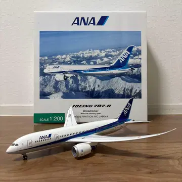 전일본공수 Boeing 787-8