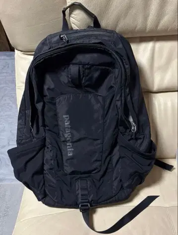 patagonia(파타고니아) 예르바 22L 백팩 블랙