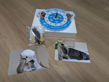 카푸 복권 x 토바 수족관 랏코의 메이짱 복권 리턴즈!