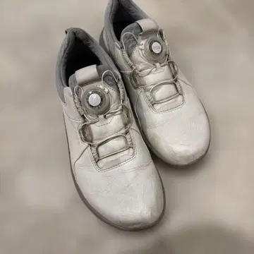 ECCO 화이트 골프화 다이얼식