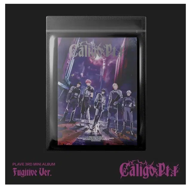 플레이브 대쉬 푸지티브 미개봉 앨범