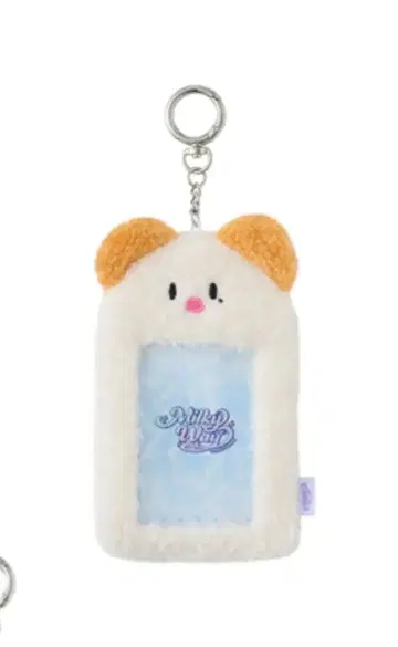 EVNNE 트레이딩 카드 케이스 포룽이 승언