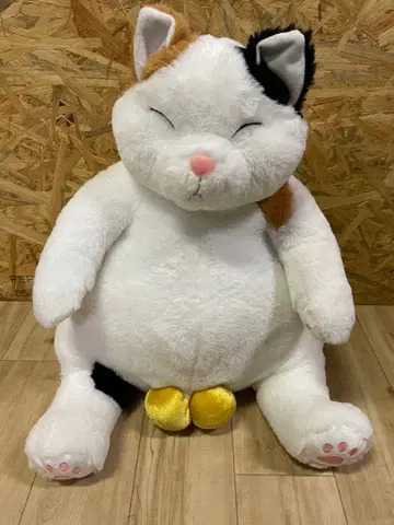 금전운 통통 고양이 봉제 인형 약 40cm