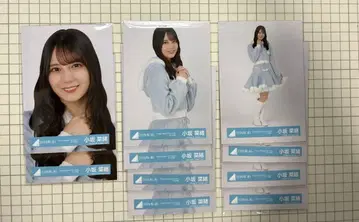 코사카 나오 산타 의상 브로마이드 묶음 판매