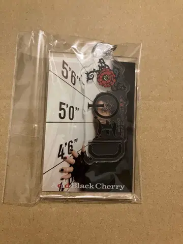 미개봉! Acid Black Cherry [ Q.E.D. ] 키링