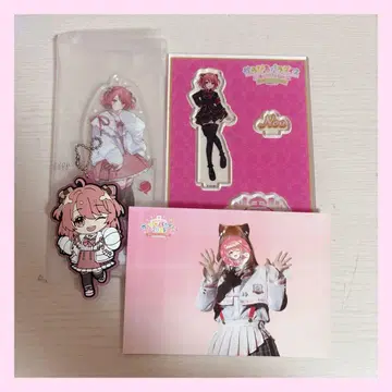 컬러풀 피치 노아