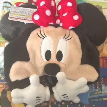 미니 팬 캡 디즈니