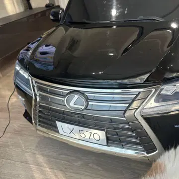 2인승 무선 조종 자동차