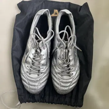 모렐리아 네오 4 실버 한정판