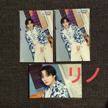 SKZ SAUNA 온라인 복권 리노