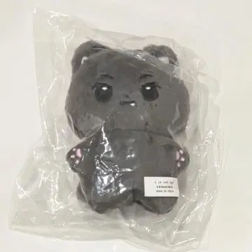 ENHYPEN 제이 봉제 인형