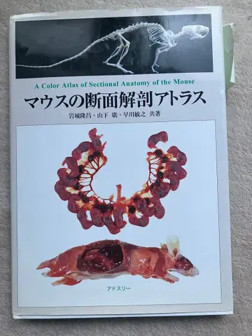 [11/23까지 접수] 마우스 단면 해부 아틀라스