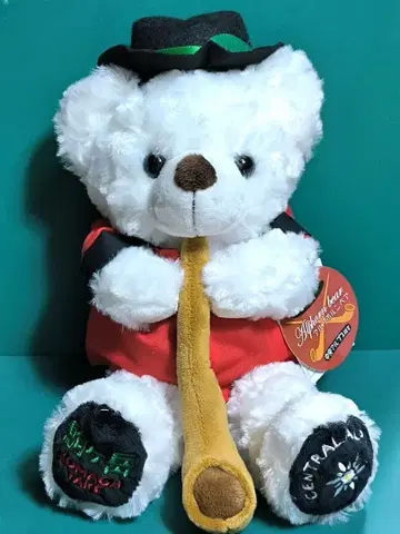 [코마가타케] 중앙 알프스, 알프호른 베어, 고토치 베어 [익명 배송]